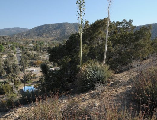 Wrightwood CA land for sale